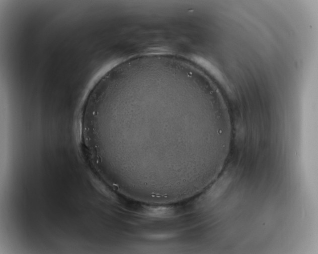 X0000092241413200709141115