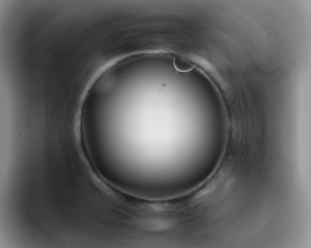 X0000092241421200709141115