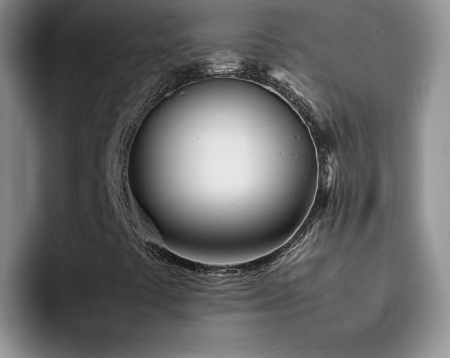 X0000092241441200709141115