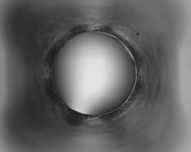 X0000092241447200709141115