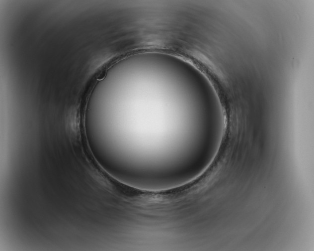 X0000092241450200709141115