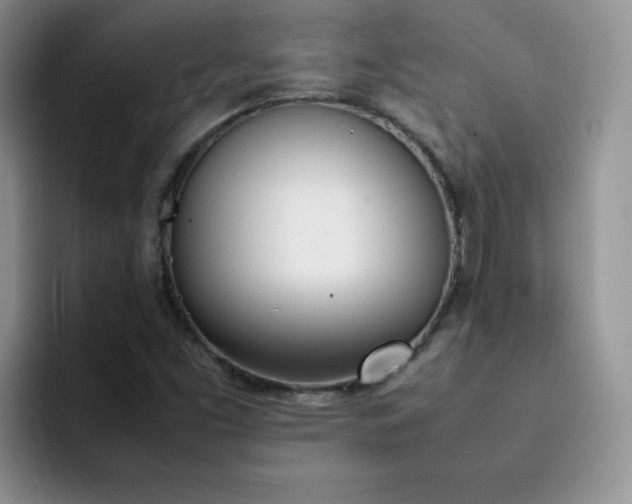 X0000092241453200709141115