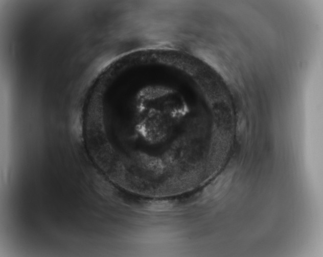 X0000092241455200709141115