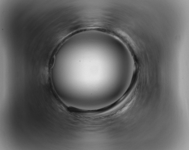 X0000092241457200709141115