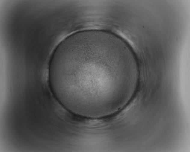 X0000092241459200709141115