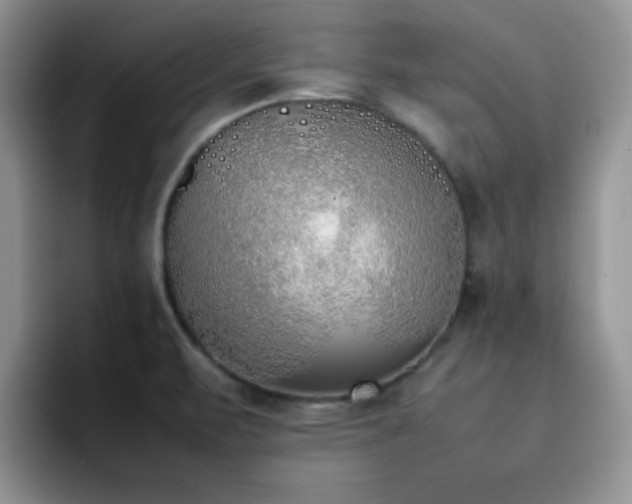 X0000092241471200709141115