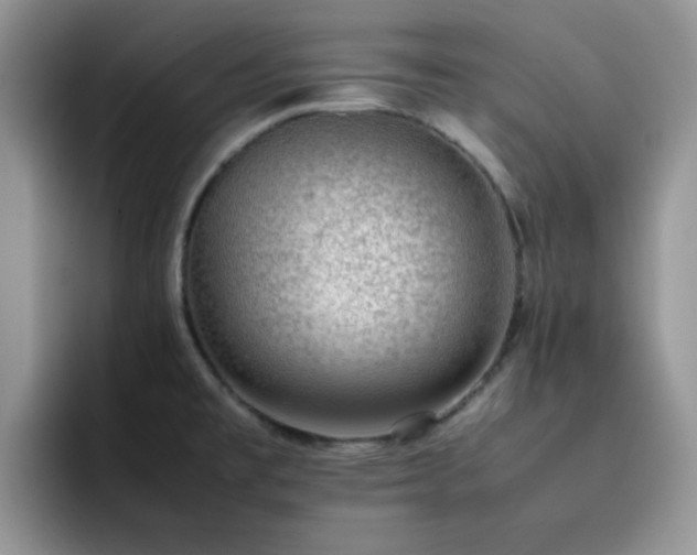 X0000092241477200709141115