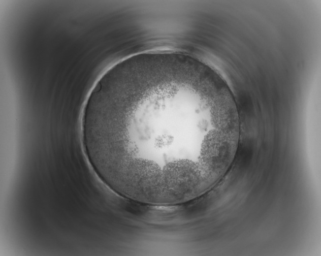 X0000092241483200709141115