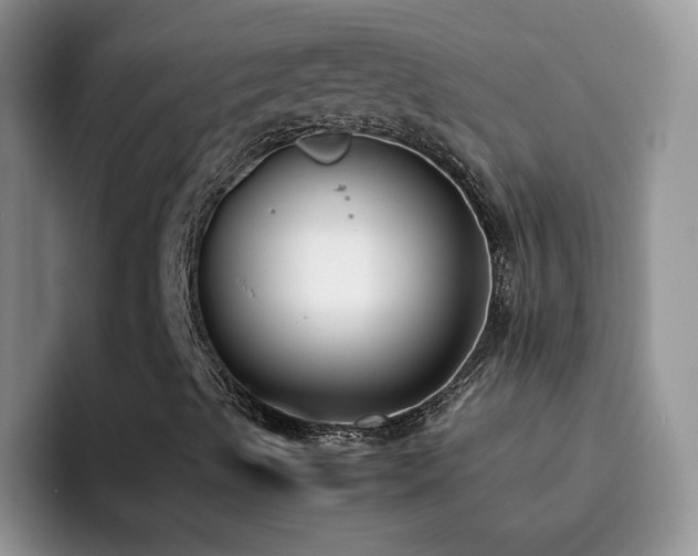 X0000092241489200709141114
