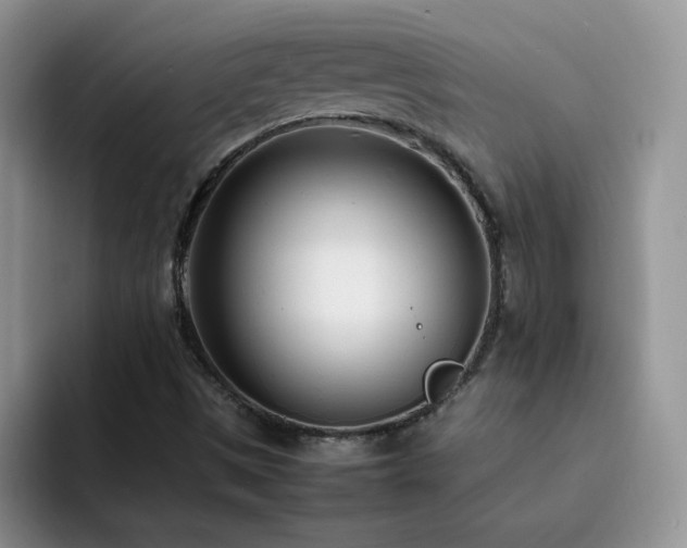 X0000092241497200709141114