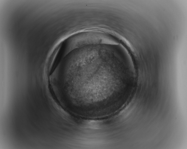 X0000092241506200709141114