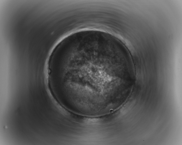 X0000092241522200709141114