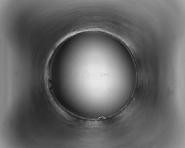 X0000092241526200709141114