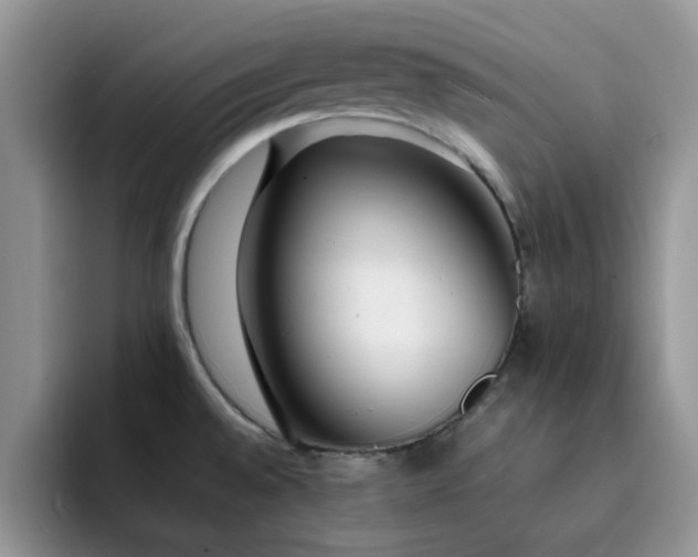 X0000092241528200709141114