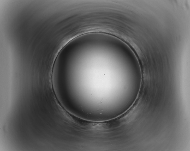 X0000092241529200709141114