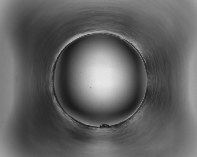 X0000092241534200709141114