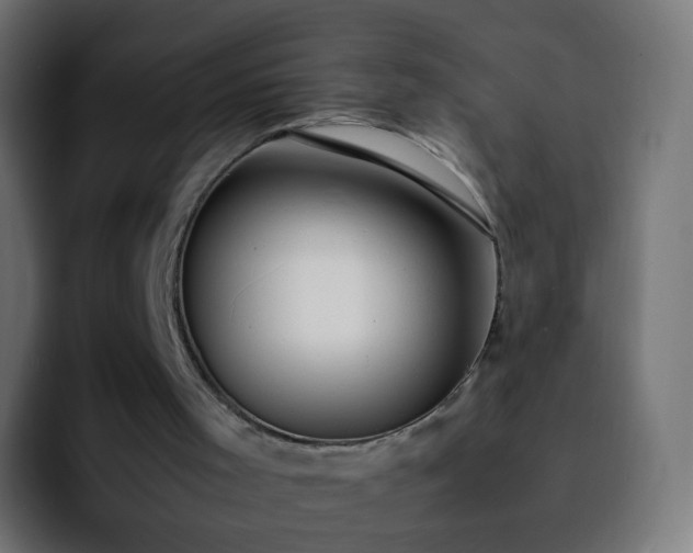 X0000092240001200709211052