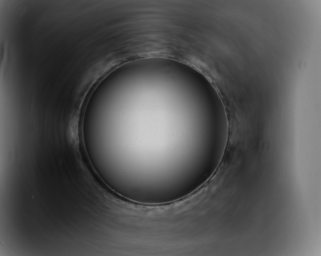 X0000092240002200709211052