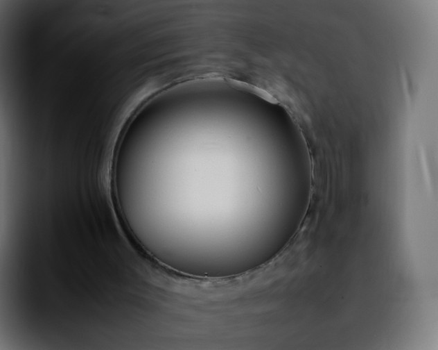 X0000092240003200709211052