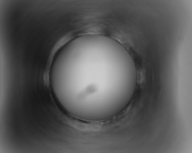 X0000092240004200709211052