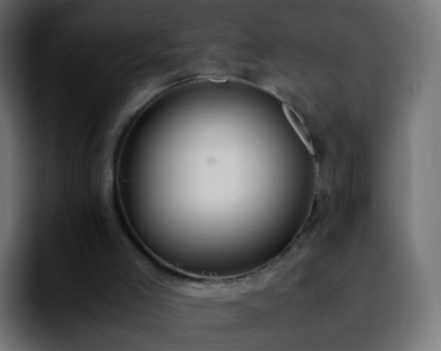 X0000092240005200709211052