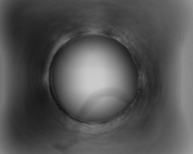 X0000092240006200709211052