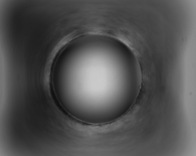 X0000092240007200709211052