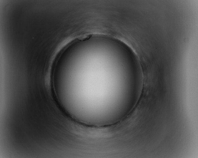 X0000092240008200709211052
