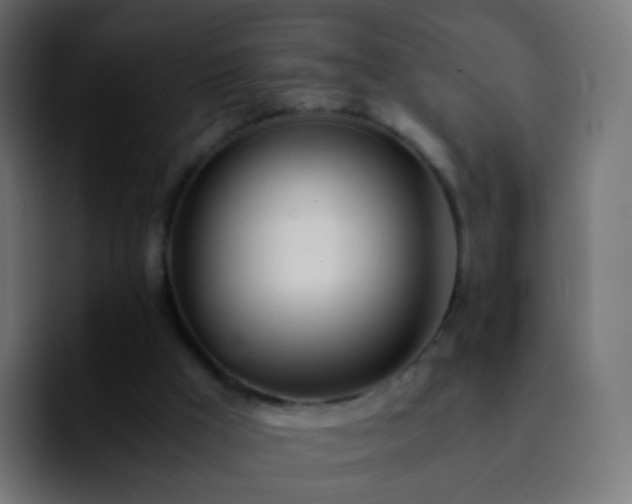 X0000092240009200709211052