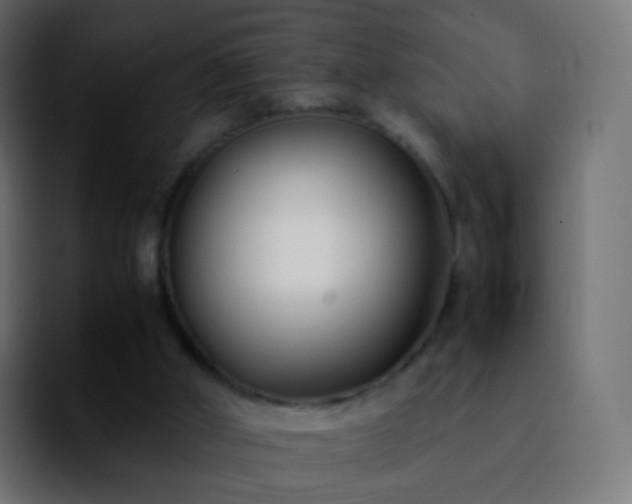 X0000092240010200709211052