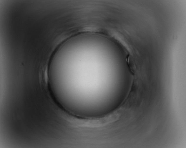 X0000092240011200709211052
