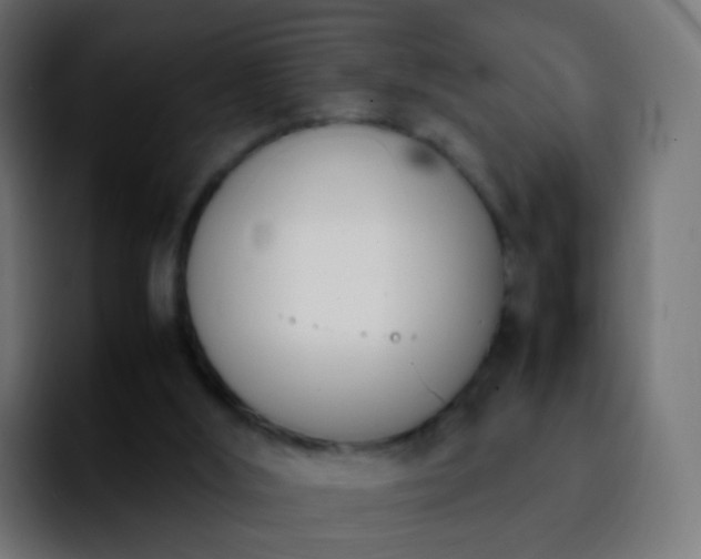 X0000092240012200709211051