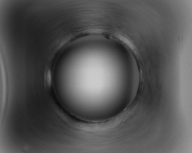 X0000092240013200709211051