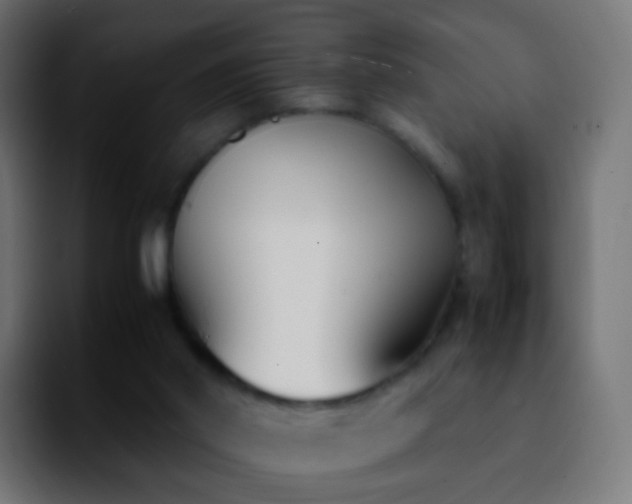 X0000092240014200709211051