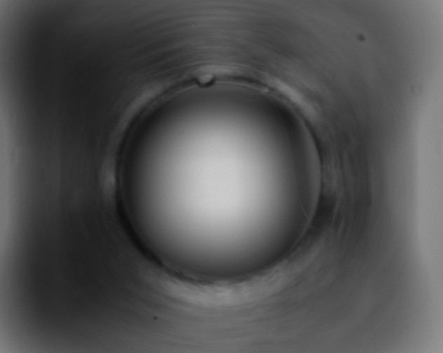 X0000092240015200709211051