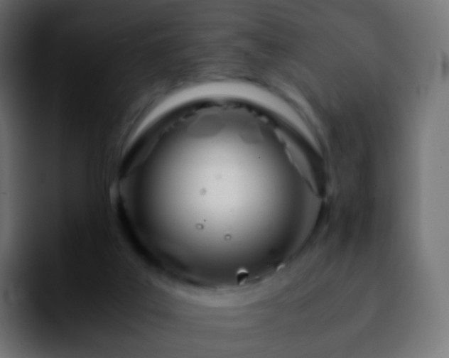 X0000092240019200709211051