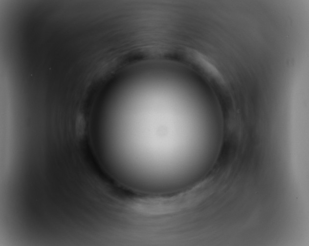 X0000092240025200709211051