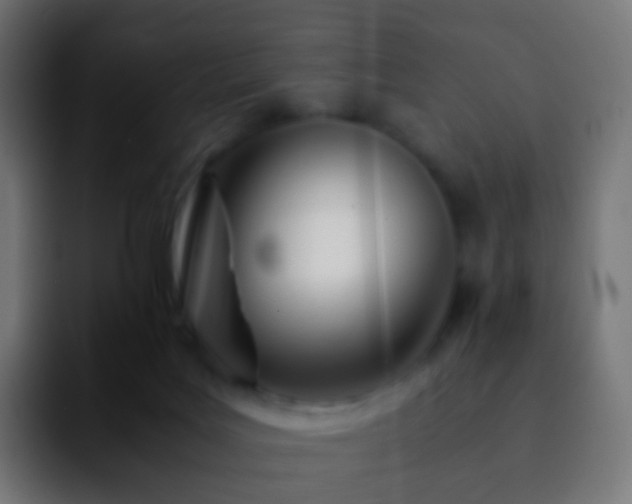 X0000092240027200709211051