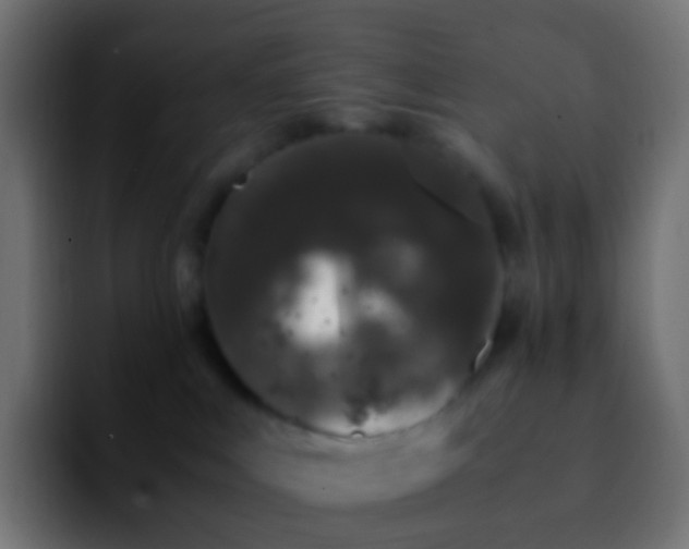 X0000092240043200709211051
