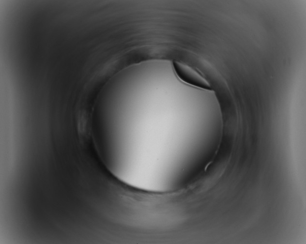 X0000092240044200709211051
