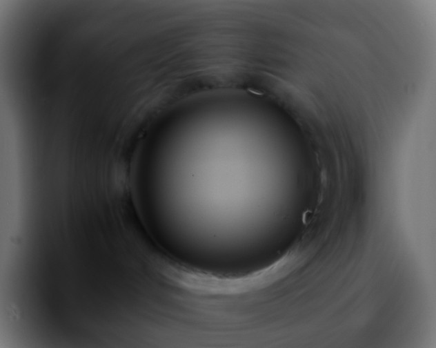 X0000092240048200709211051