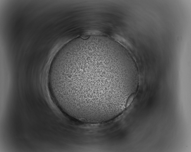 X0000092240049200709211051