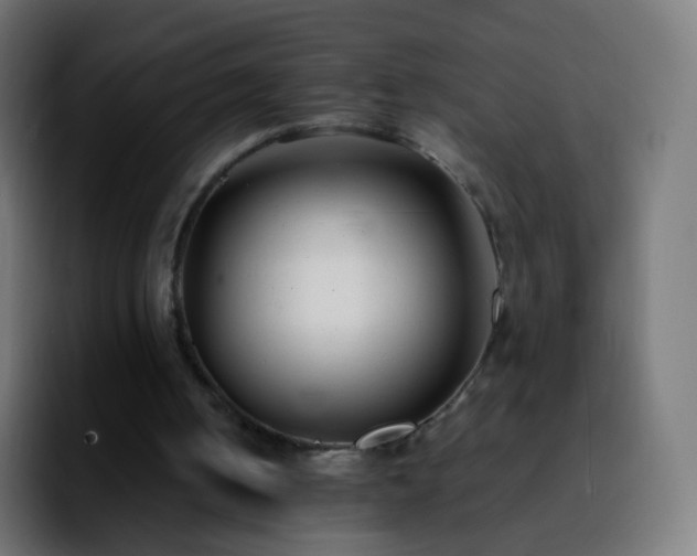 X0000092240050200709211051