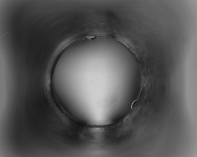 X0000092240053200709211051