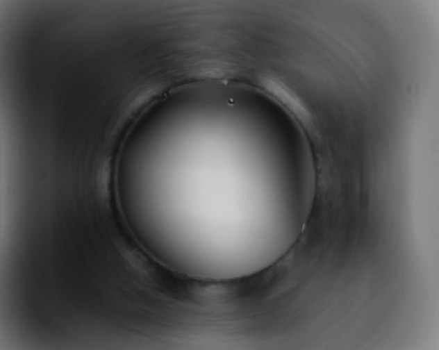 X0000092240058200709211051