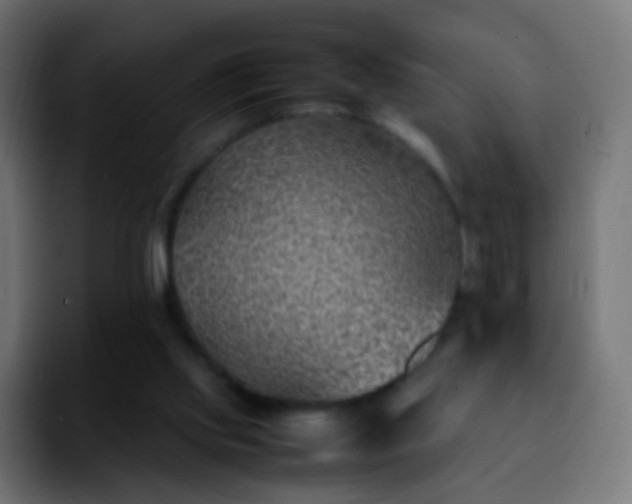 X0000092240061200709211051