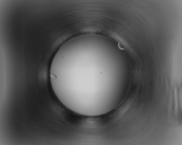 X0000092240064200709211051