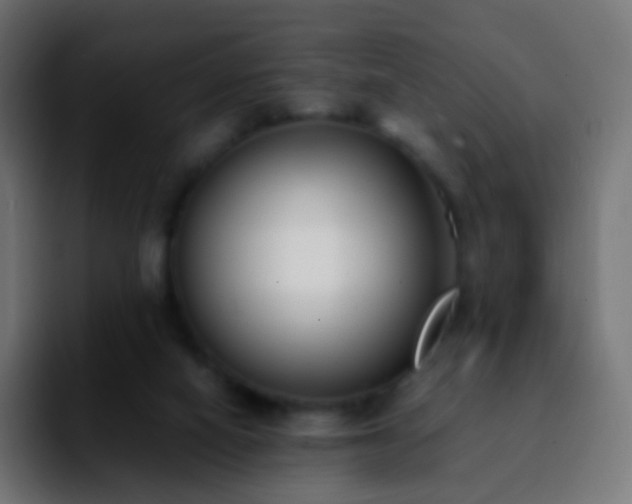 X0000092240066200709211051