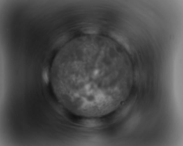 X0000092240069200709211051