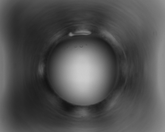 X0000092240071200709211051